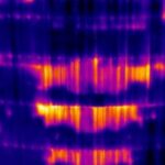 Thermografie 12